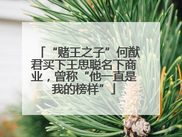 “赌王之子”何猷君买下王思聪名下商业，曾称“他一直是我的榜样”